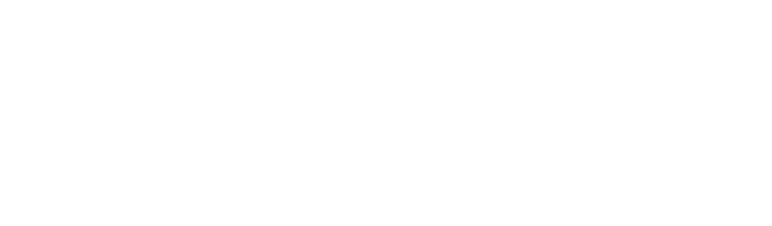 Security Vision